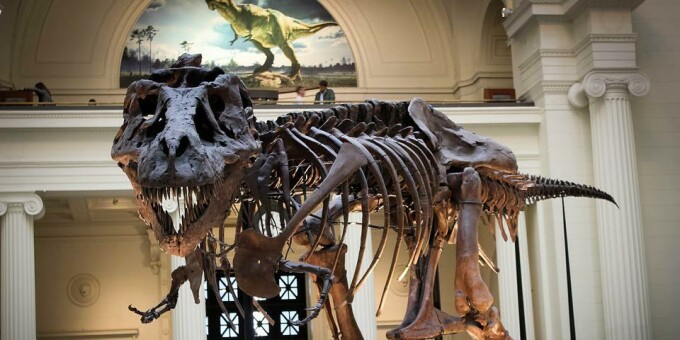 29 января все белорусские музеи будут бесплатными для студентов, школьников и учащихся!