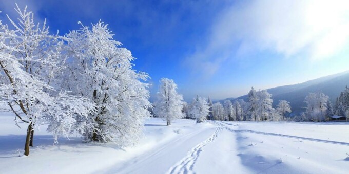 Когда будет самая холодная ночь в Беларуси?