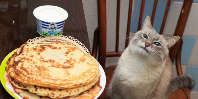 Сколько можно скушать блинов?