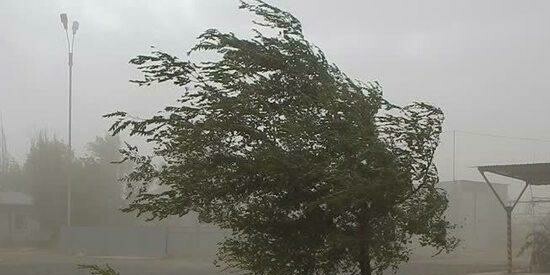 Оранжевый уровень опасности объявлен в Беларуси из-за сильного западного ветра до 72 км/ч и гроз