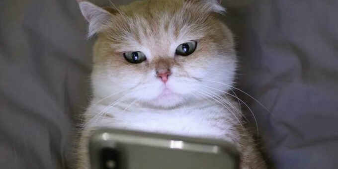 Использование телефона сразу после пробуждения вредит мозгу